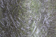 Airor fibreglass roof work